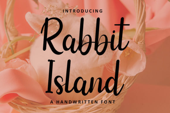 Choosing Rabbit Island: A Font That Brings Editorial Elegance to Life