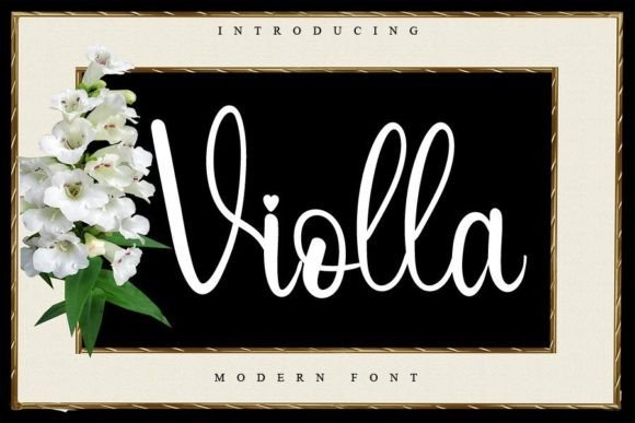 Violla Font: Elevate Your Brand with a Fresh, Beautiful Typeface